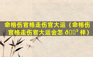 命格伤官格走伤官大运（命格伤官格走伤官大运会怎 🐳 样）